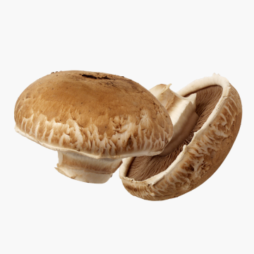 Cogumelo Portobello (Kg) 