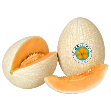 MELÃO WAIKIKI (KG)