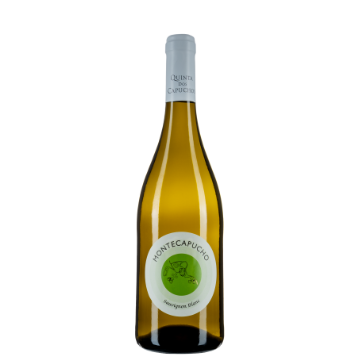 MONTECAPUCHO SAUVIGNON...